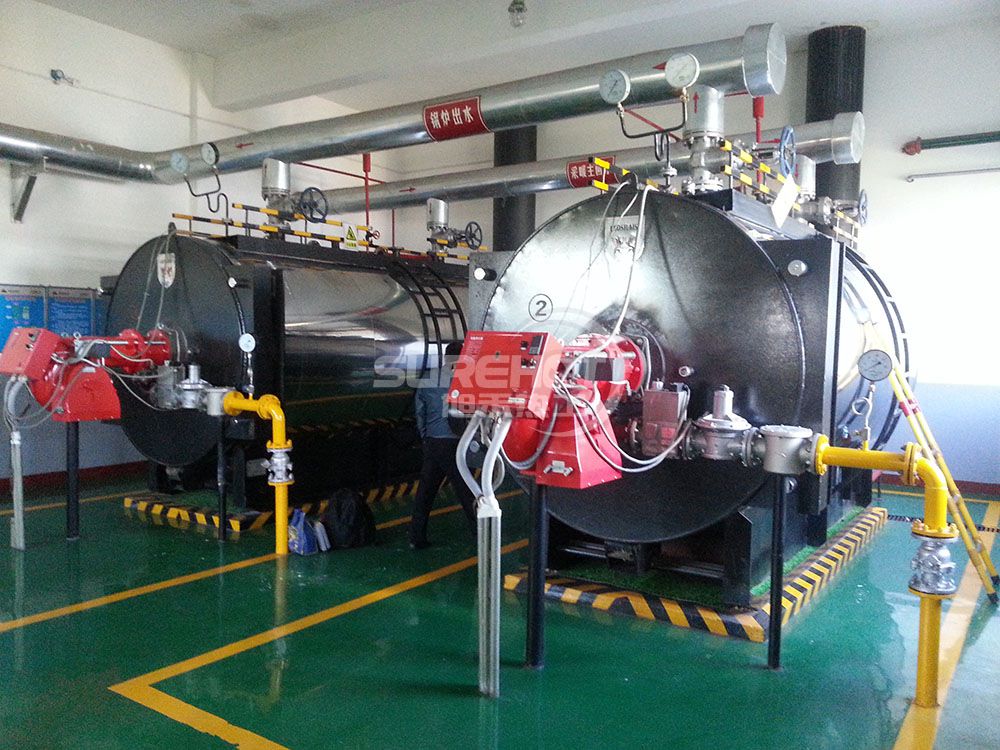 內(nèi)蒙古機(jī)電廠(chǎng)6噸熱水鍋爐